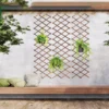 Treillage Bois Fleurs et Plantes Grimpantes