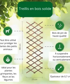 Treillage Bois Plante Grimpante dimensions