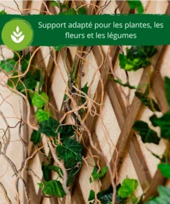 Treillage Bois Plante Grimpante marron