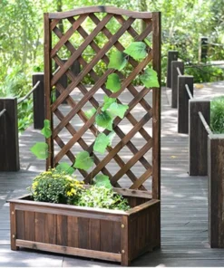 Treillage Plante Grimpante en Bois