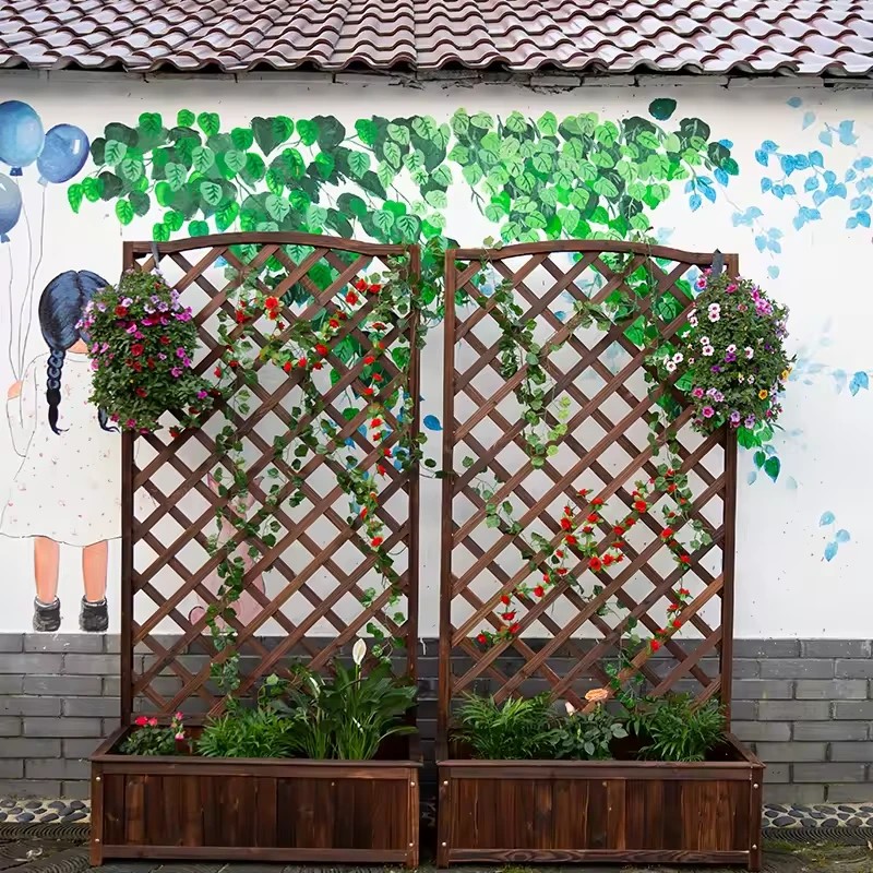 Treillage pour Fleurs et Plantes Grimpantes
