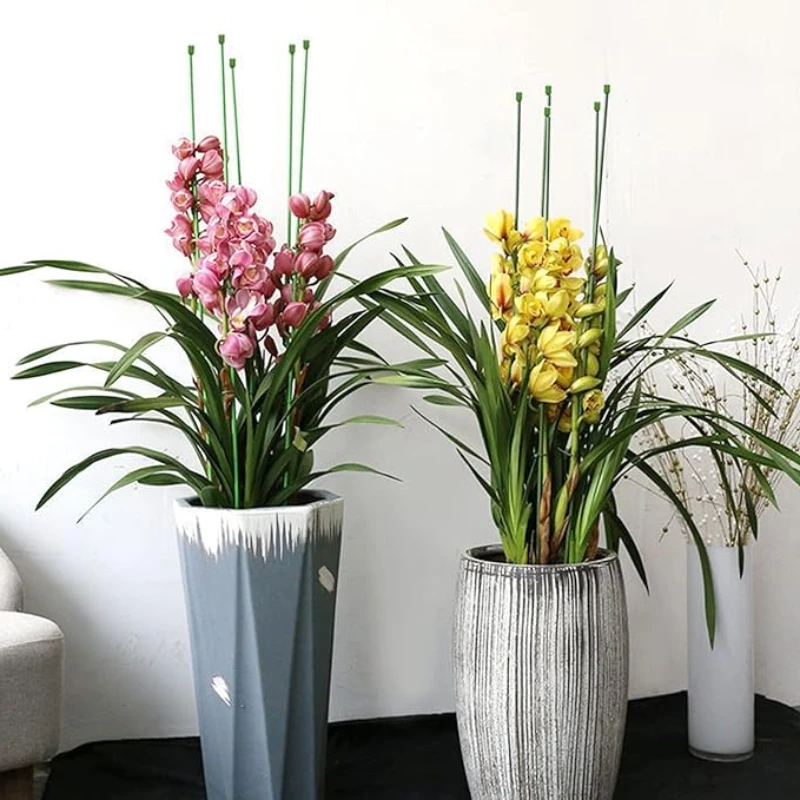 Treille pour Plante Grimpante Vert