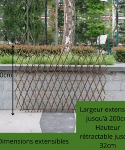 Treillis Bois Plante Grimpante 70cm