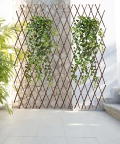 Treillis Bois Plante Grimpante marron