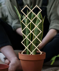 Treillis Bois pour Fleurs et Plantes Grimpantes