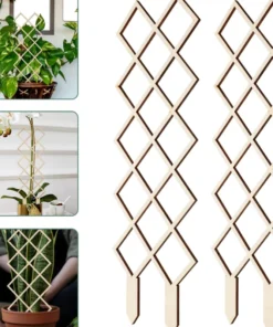 Treillis Bois pour Plante Grimpante géométrique
