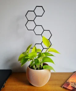 Treillis Fleurs et plantes grimpantes