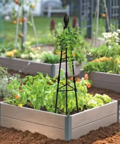 Treillis Fleur et Metal Plante Grimpante
