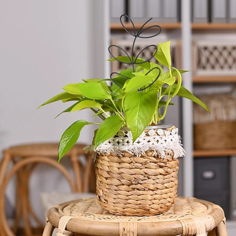 Treillis Metal Plantes Grimpantes design