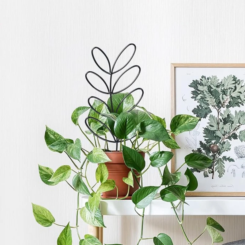 Treillis Metal Plantes Grimpantes feuille