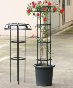 Treillis Metal pour Fleurs et Plantes Grimpantes