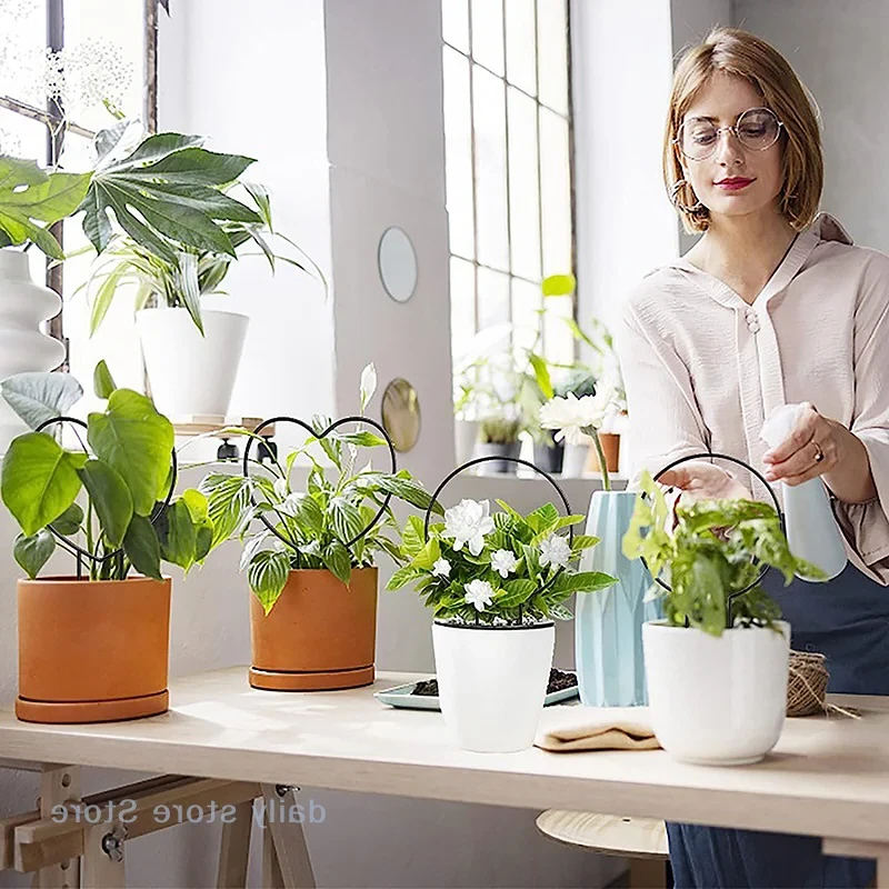 Treillis Métal pour Plantes Grimpantes Noir