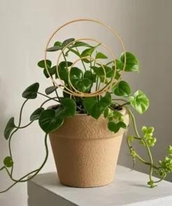 Treillis Metallique Fleurs et Plantes Grimpantes