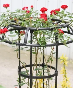 Treillis Metallique Plante Grimpante moderne