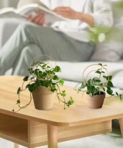 Treillis Metallique Plantes Grimpantes tuteur