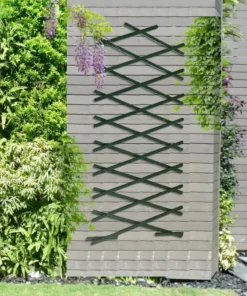 Treillis Mural pour Plantes Grimpantes vert