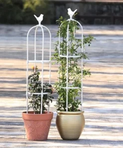 Treillis Plante Blanc