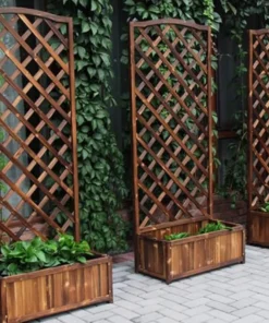Treillis Plante Grimpante Extérieur Meuble