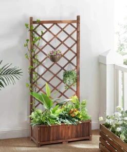 Treillis Plante Grimpante Extérieur en Bois
