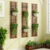 Treillis Plantes Grimpantes en Bois