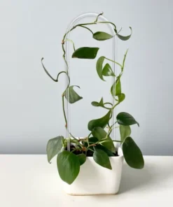 Treillis Plantes plastique