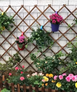 Treillis en Bois pour Plantes Grimpantes Mural