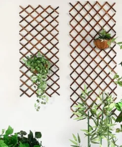 Treillage Bois Fleurs et Plantes Grimpantes