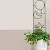 Treillage pour Fleur et Plante Grimpante