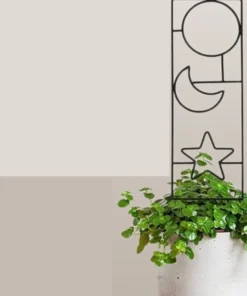 Treillage pour Fleur et Plante Grimpante