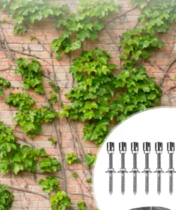 Treillis Fer a Beton Plante Grimpante fixation