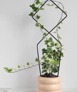 Treillis Support Plante Grimpante Noir