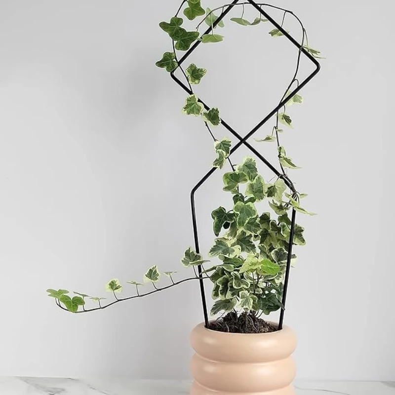 Treillis Support Plante Grimpante Noir