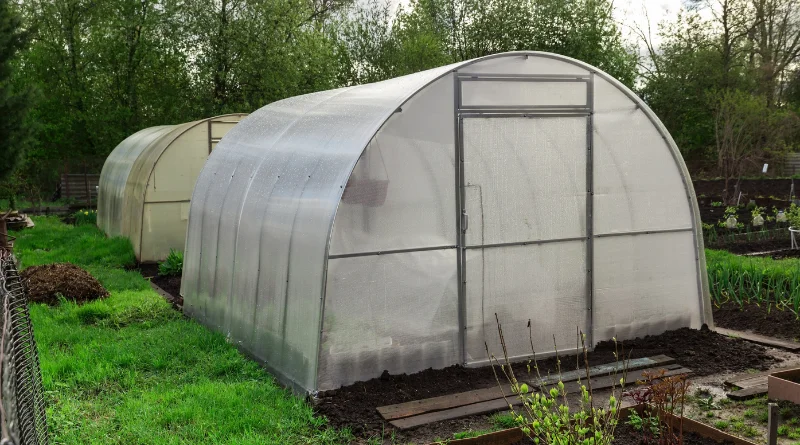 serre de jardin dans un jardin