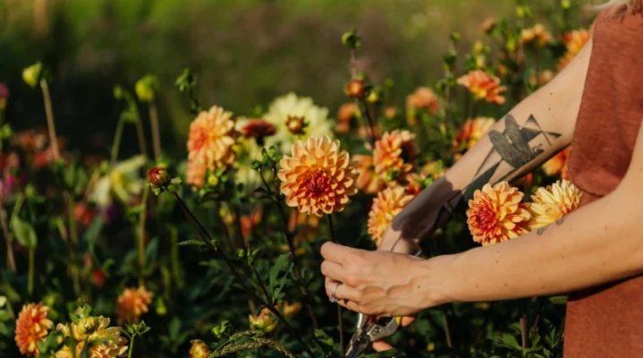 femme qui tient des fleurs